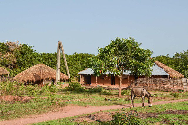 Economic Diversification in Guinea-Bissau