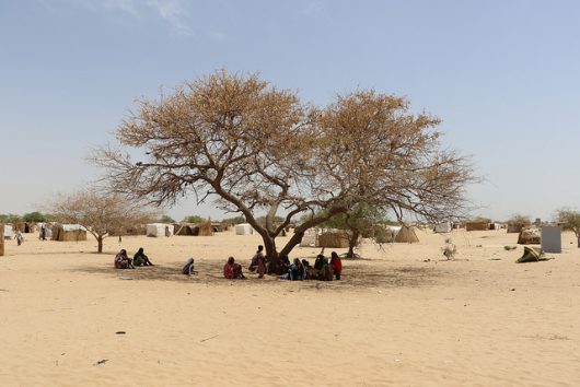 Education and Reintegration