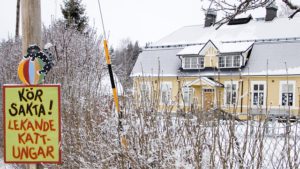 Education in Sweden