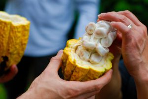 Elderly Care in Costa Rica