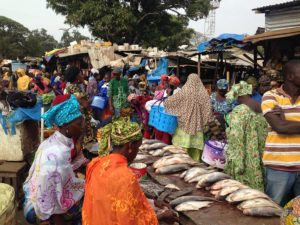 Elderly Poverty in The Gambia