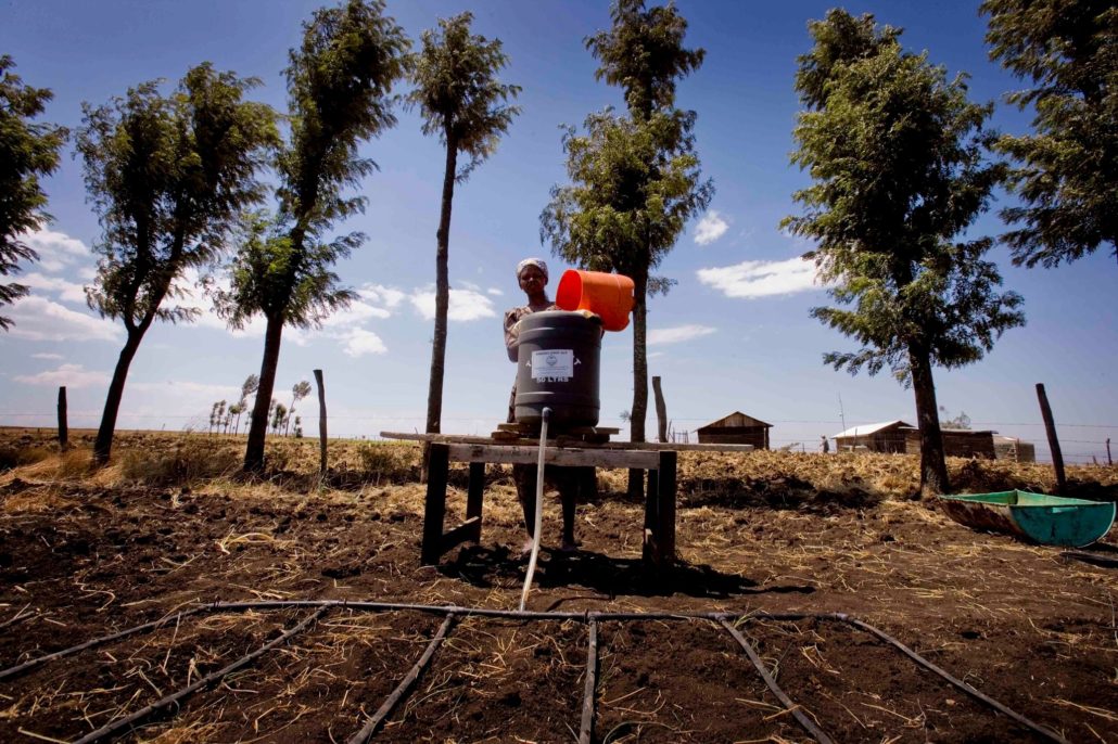 Elevating Farmers in Kenya