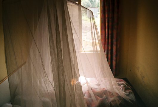 Elimination of Malaria by 2040: How Developing Countries Benefit