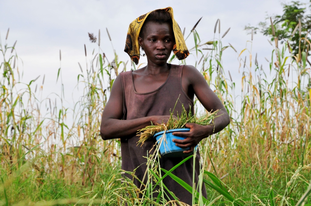 Empowering Women in Ghana