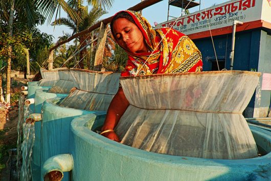 Empowering Women Through Education and Entrepreneurship