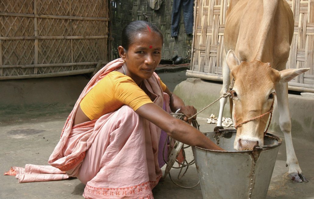 Energy Poverty in Bangladesh