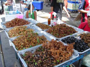 Entomophagy Reducing Poverty