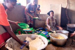 Envirofit Cookstoves 