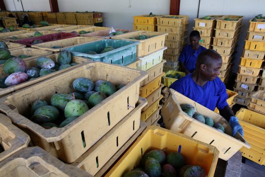Eradicate Poverty in Ghana
