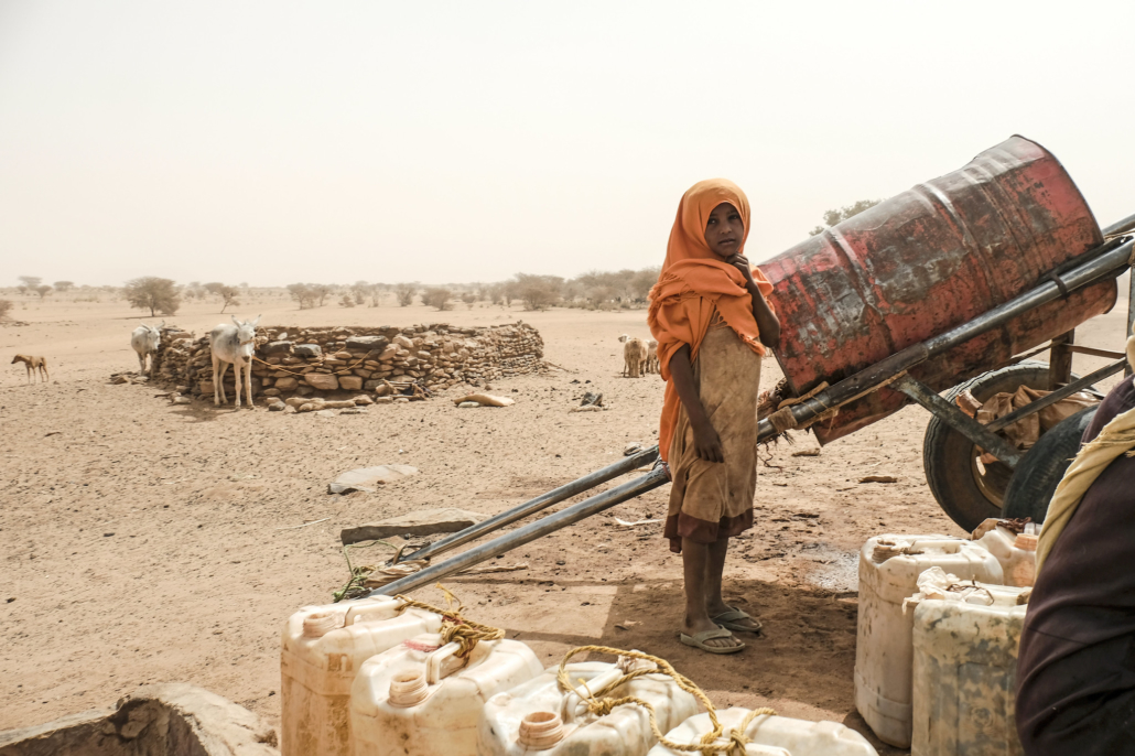 Facts About Desertification