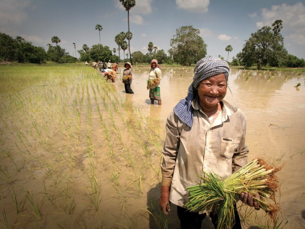 Facts About Hunger in Cambodia