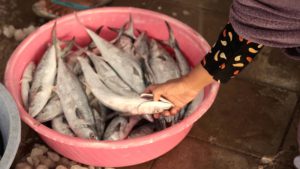 Facts About Hunger in Kiribati