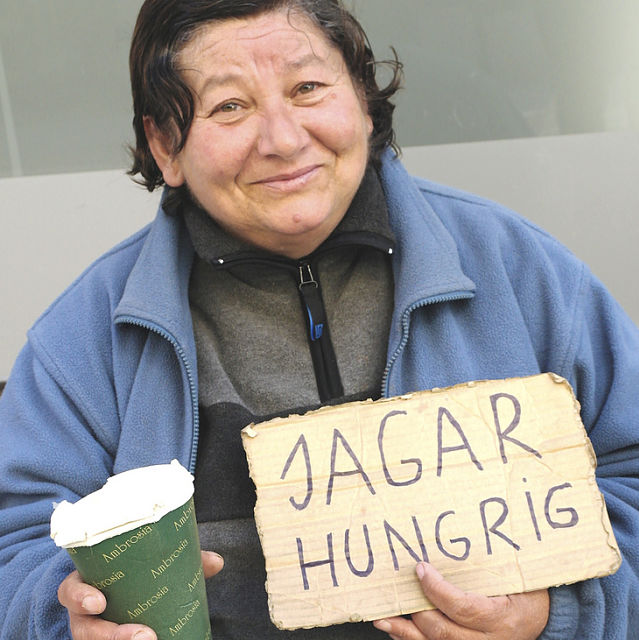 Facts About Poverty in Sweden