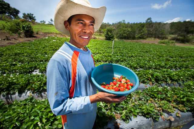 Fair trade products