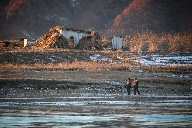 Famine in North Korea