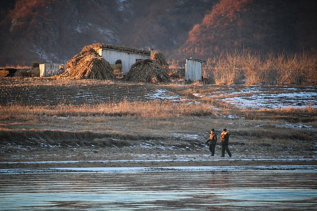 Famine in North Korea