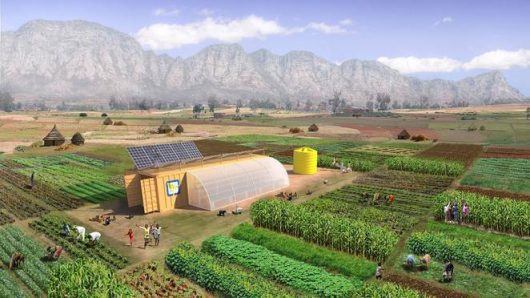 Farm From a Box