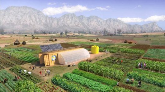 Farm From a Box