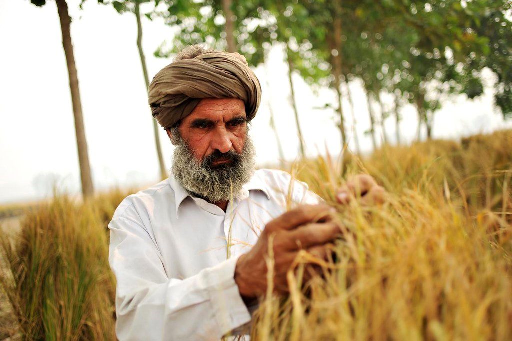 Farmer Suicide in India