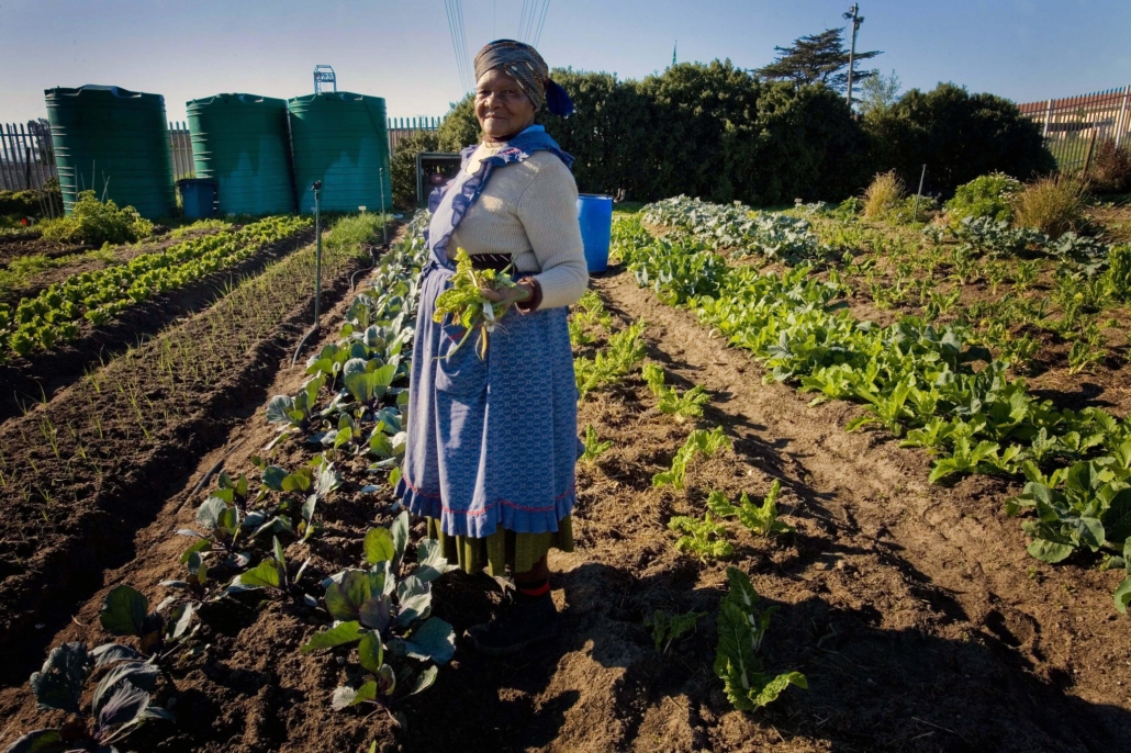 Farmers in Africa