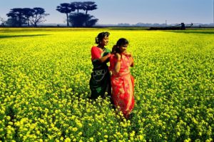 Farmers in Bangladesh