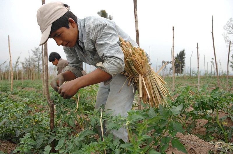 Regenerative agriculture in Argentina