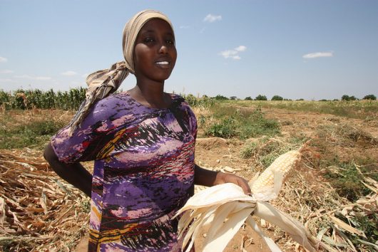 Female Genital Mutilation