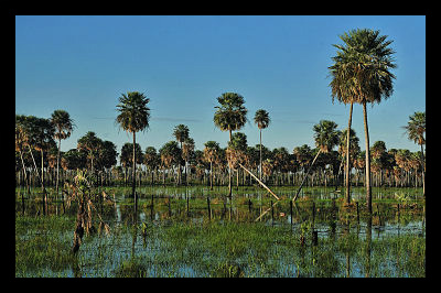 Flooding_in_paraguay