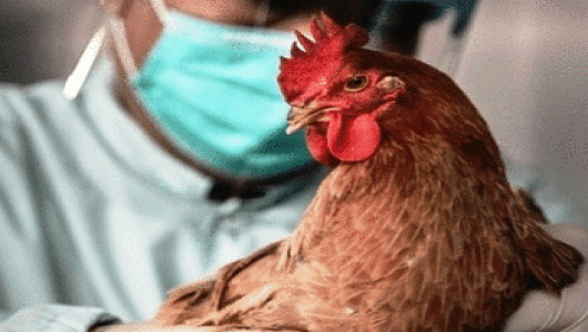 Why this year's flu epidemic may be the worst one yet - TBP