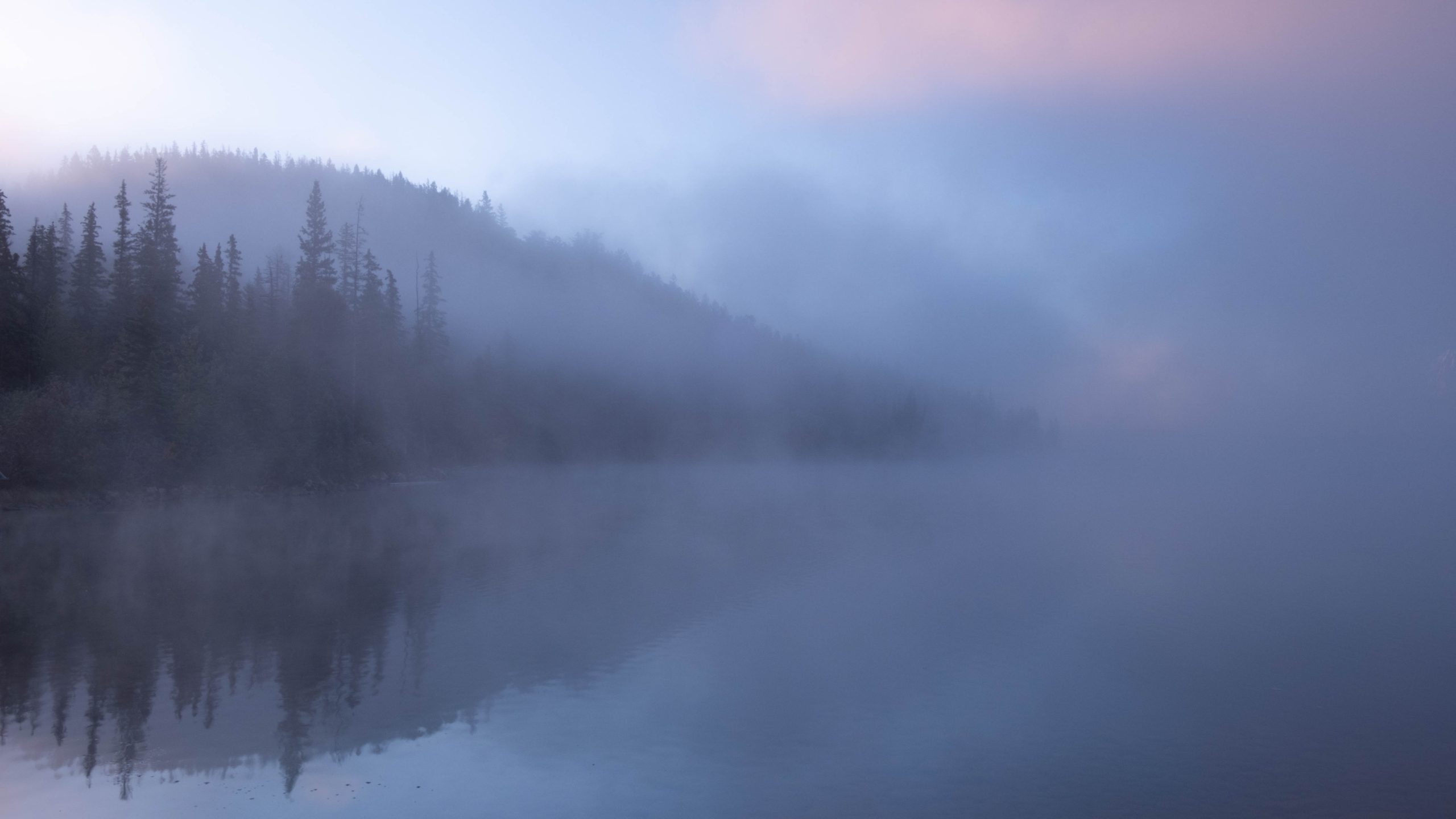Fog Nets
