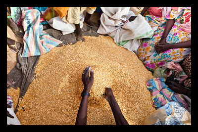 Food Aid to Yemen