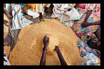 Food Aid to Yemen