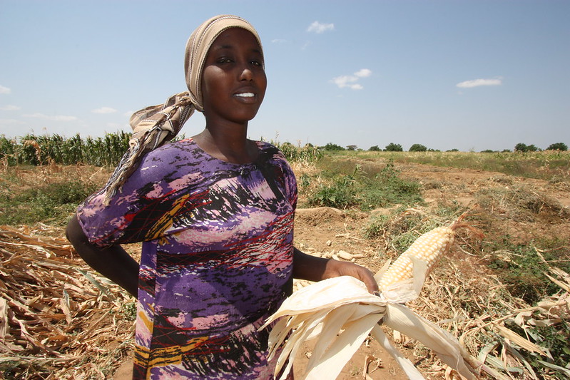 Food Crisis in Kenya: Challenges and Responses 