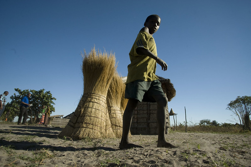 Food Insecurity in Zambia