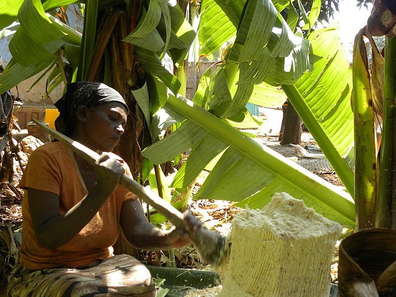 Food Safety in Ethiopia