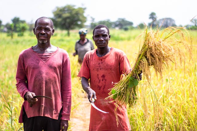 Food Scarcity in Nigeria