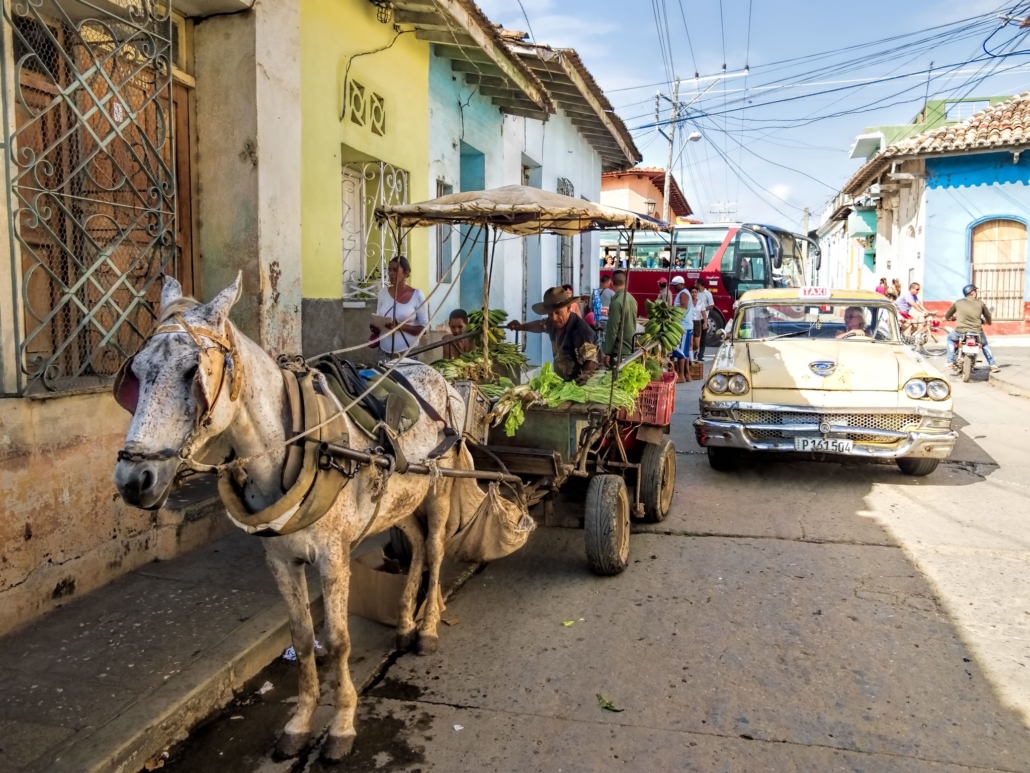 Food Security in Cuba