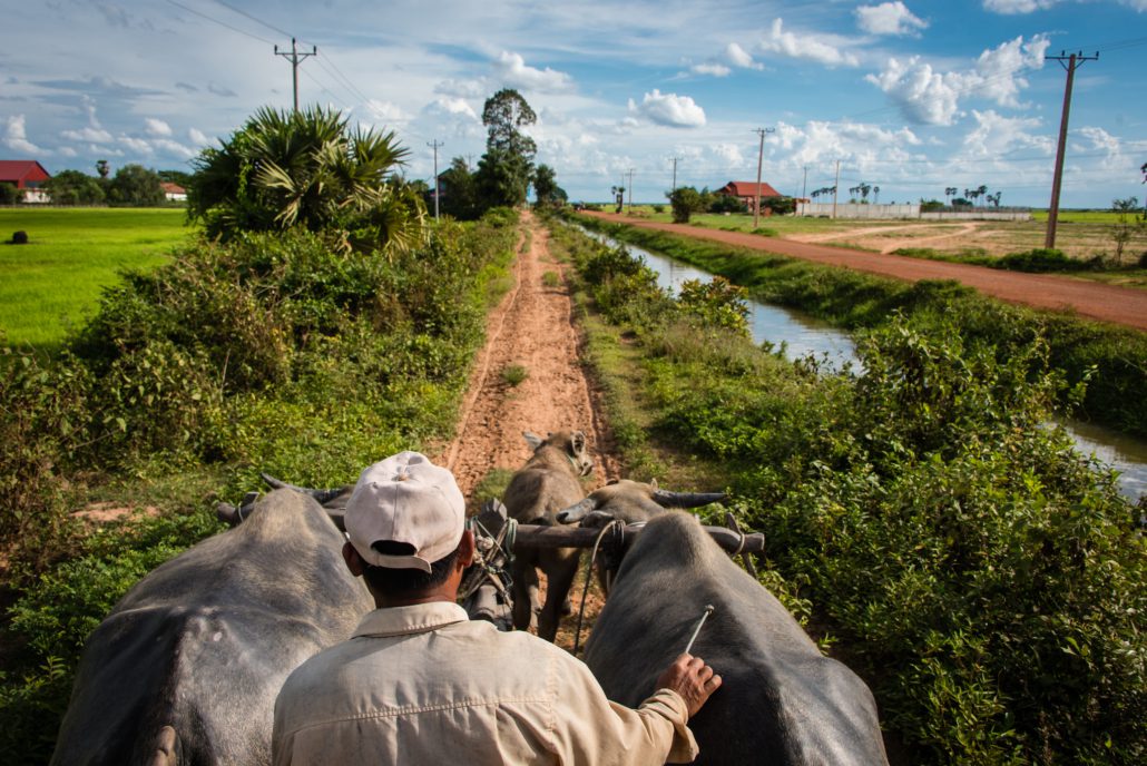 Food Sovereignty