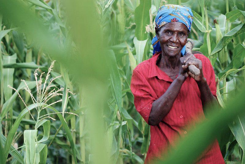 Food Systems in Kenya