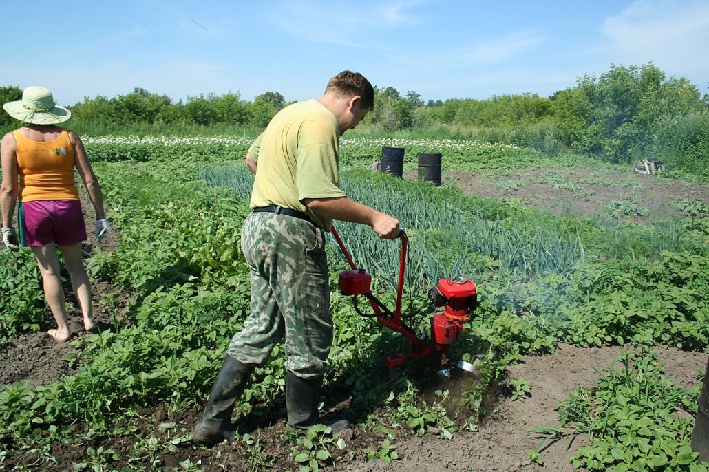 Food Systems in Russia