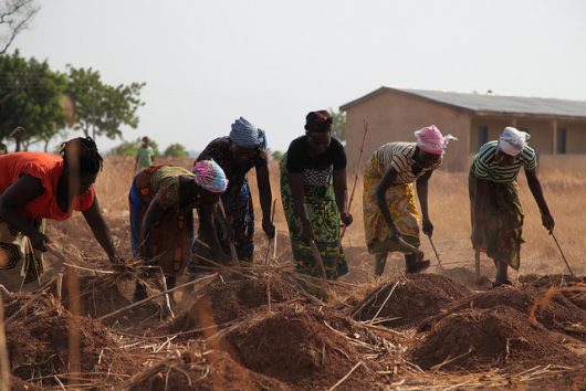 Food Security in Ghana