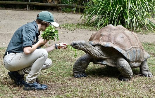 Galapagos tourism reduces poverty