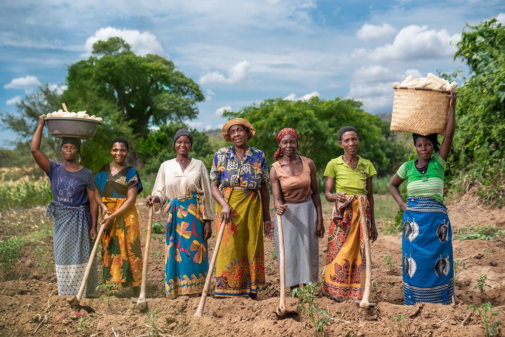 Gender Pay Gap in Malawi