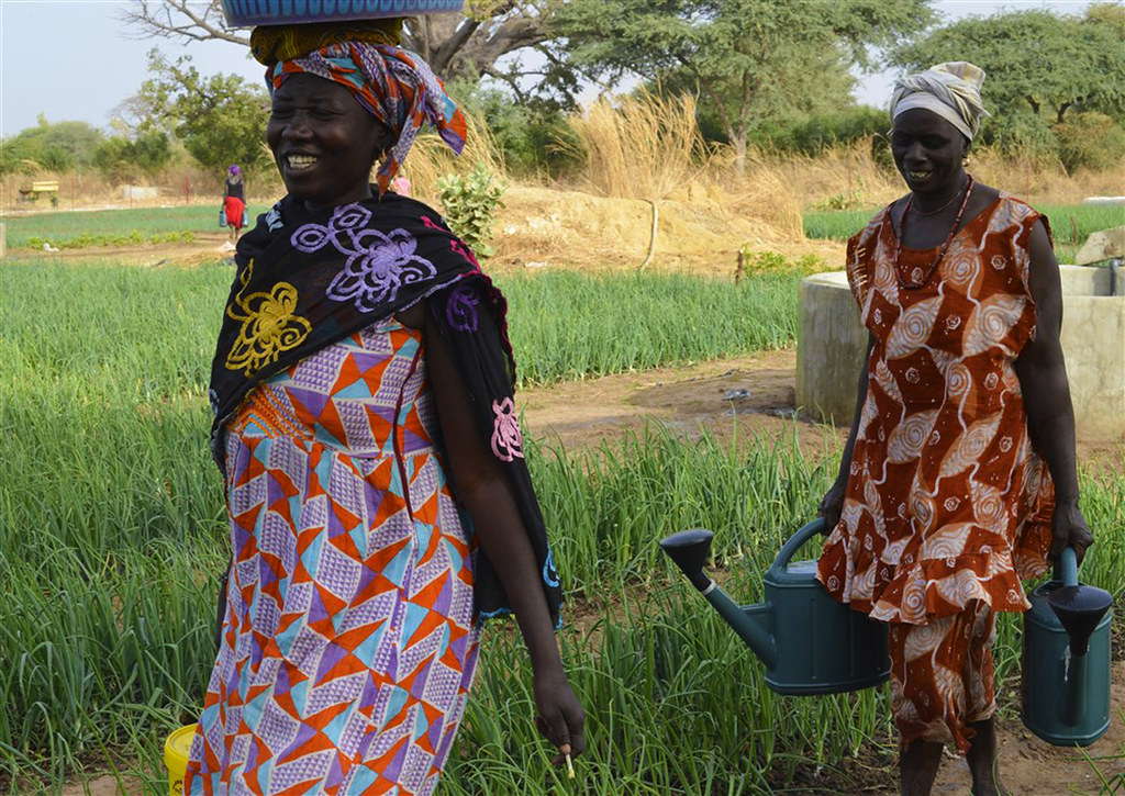 Gender Wage Gap in Senegal