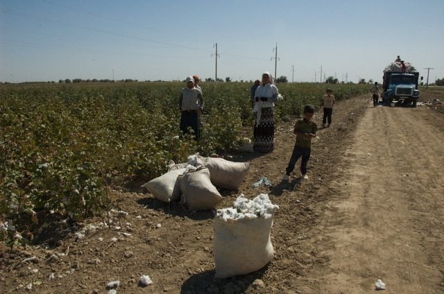 Gender Wage Gap in Turkmenistan
