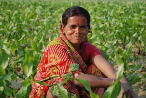 Gender equality and nutrition