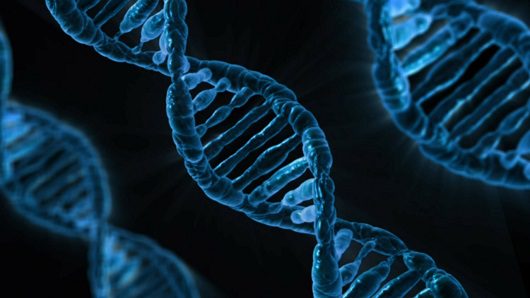Genetic-Counseling