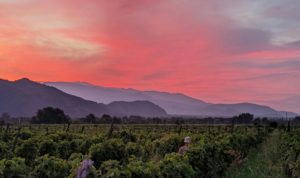 Georgia’s Wine and Tourism