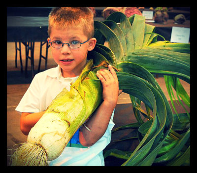 Giant Leek_opt