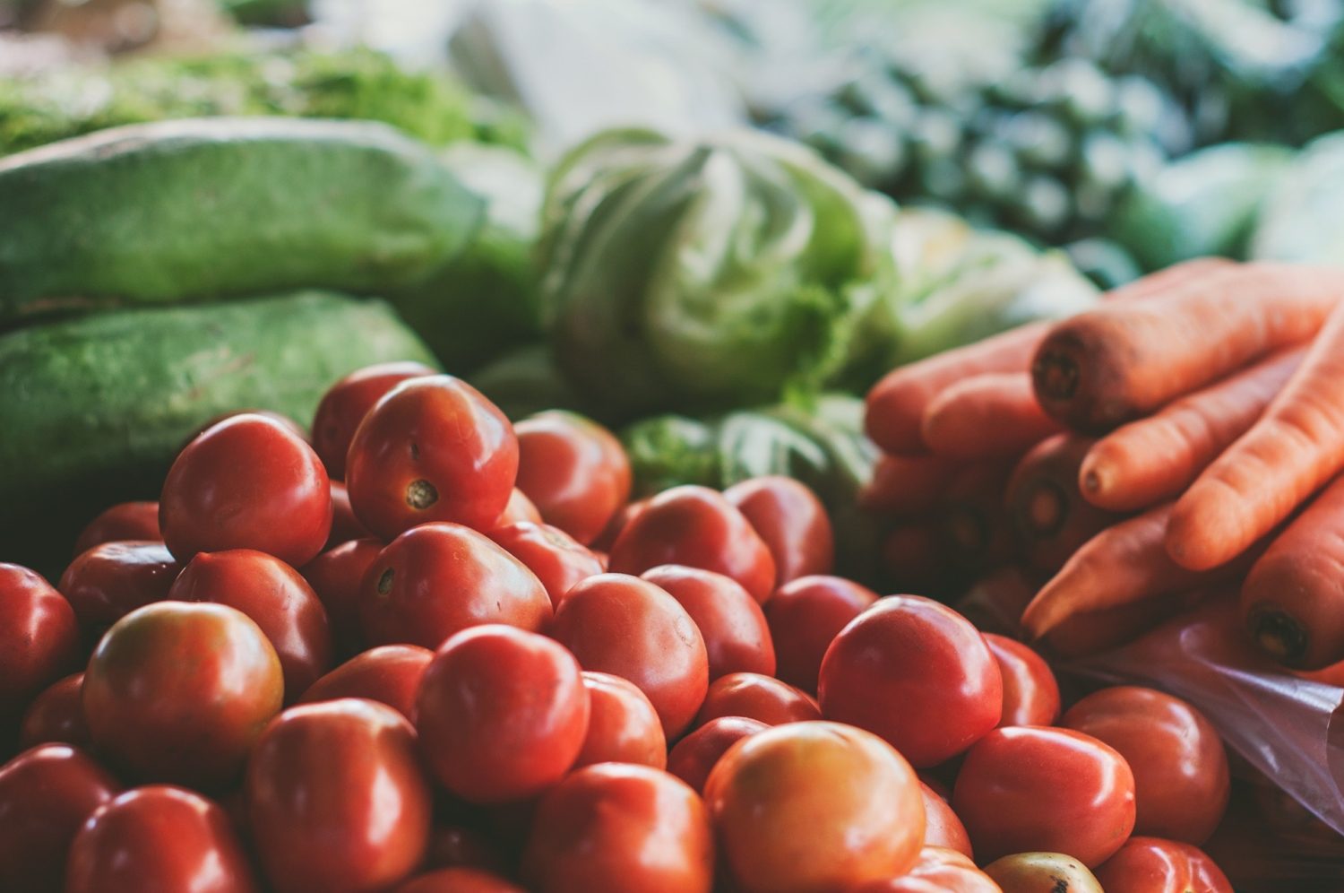 Global Food Security